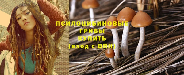 apvp Коряжма