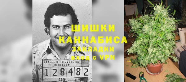 apvp Коряжма