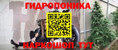 PSILOCYBIN Беслан