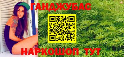 индика Бийск