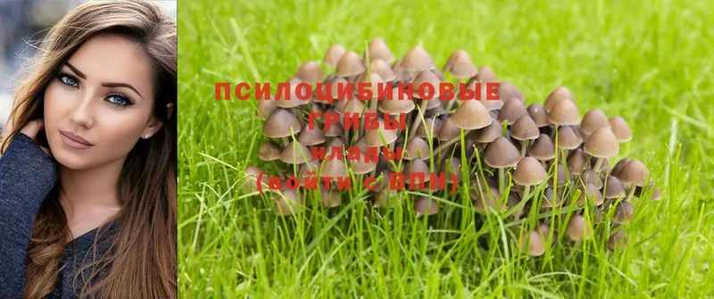 Галлюциногенные грибы Magic Shrooms  Коломна 