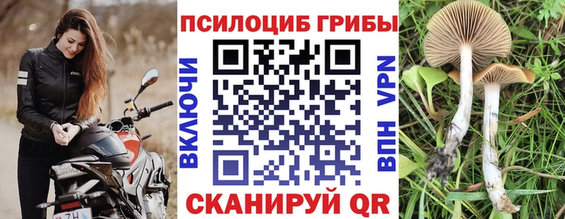Псилоцибиновые грибы мицелий  что такое наркотик  Коломна 
