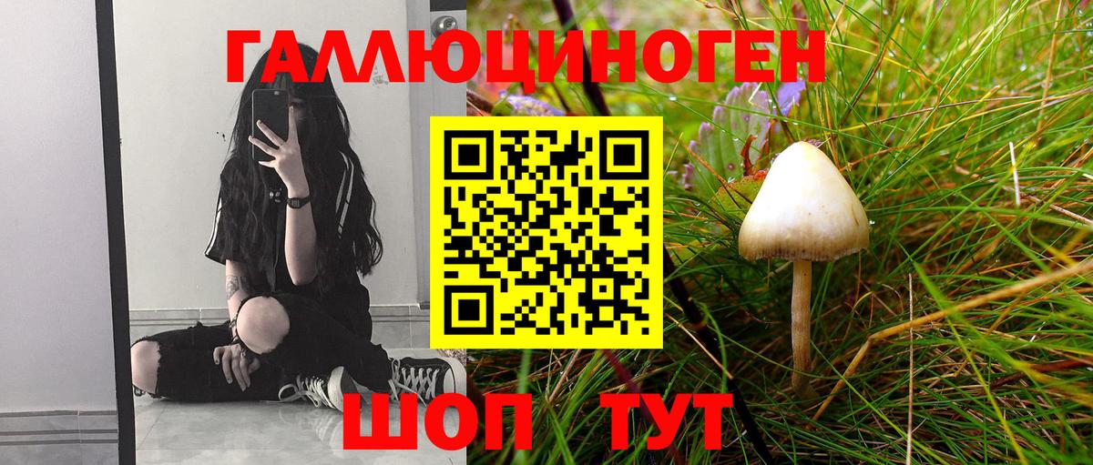 Коломна  Галлюциногенные грибы Psilocybine cubensis  Вход с VPN  Псилоцибиновые грибы Cubensis 